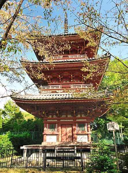 https://www.db.kansai-maas.jp/image/photos/1fd5faa6-8d82-4e1d-aaaa-caef595d1e7d.jpg