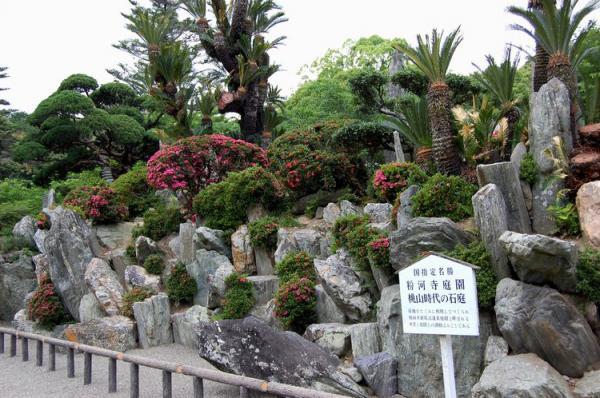 https://www.db.kansai-maas.jp/image/photos/203b1458-42c0-4937-83a9-0e520f748ac0.jpg