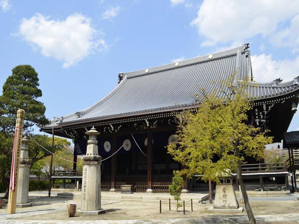 https://www.db.kansai-maas.jp/image/photos/21798b77-423c-42b5-a5c2-05fc2aa92ec9.jpg