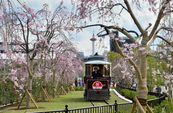 https://www.db.kansai-maas.jp/image/photos/223022f6-7a8d-478a-8248-93aff87a96a5.jpg
