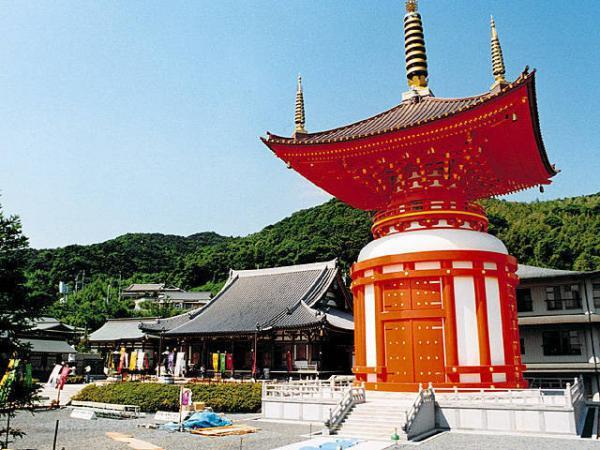 https://www.db.kansai-maas.jp/image/photos/238ab956-8b30-459b-b87c-5f953459fbf2.jpg