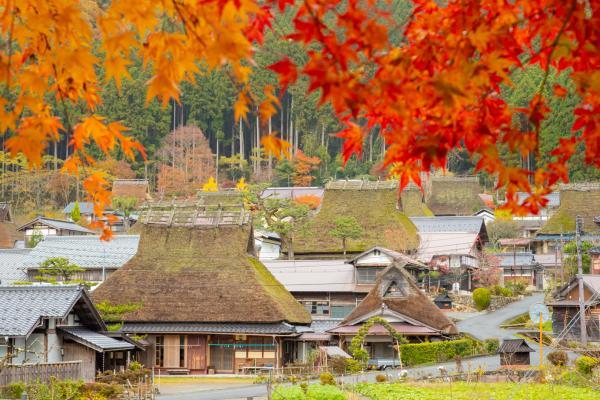 https://www.db.kansai-maas.jp/image/photos/23936e53-516c-4d68-b7e1-21c0810a7c0e.jpg