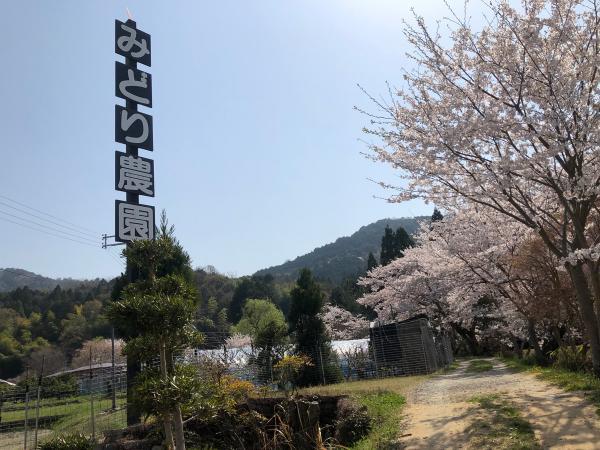 https://www.db.kansai-maas.jp/image/photos/2405d366-a085-4852-9b19-900b20ee9db2.jpg