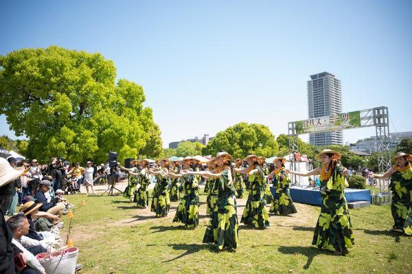 https://www.db.kansai-maas.jp/image/photos/242118a6-9ca0-48bd-b7c6-7457c5e6e94b.jpg