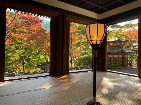 https://www.db.kansai-maas.jp/image/photos/25692ab0-1705-4ff5-9633-bb8fba4d6a39.jpg