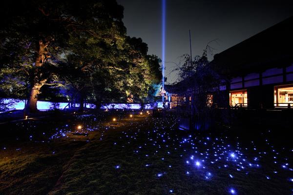 https://www.db.kansai-maas.jp/image/photos/256dd6db-d3af-4efd-837e-20e9b96e7114.jpg