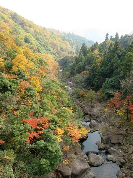 https://www.db.kansai-maas.jp/image/photos/260c5ef9-8342-4246-82b6-db7b597a40f6.jpg
