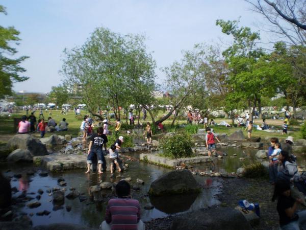 https://www.db.kansai-maas.jp/image/photos/264bd099-5725-44b7-bfd3-5f77974fe966.jpg