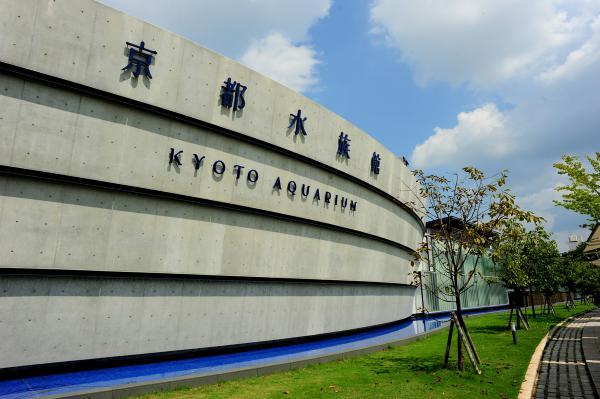 https://www.db.kansai-maas.jp/image/photos/264fb395-aecb-40db-bb22-b0c859aa1c02.jpg