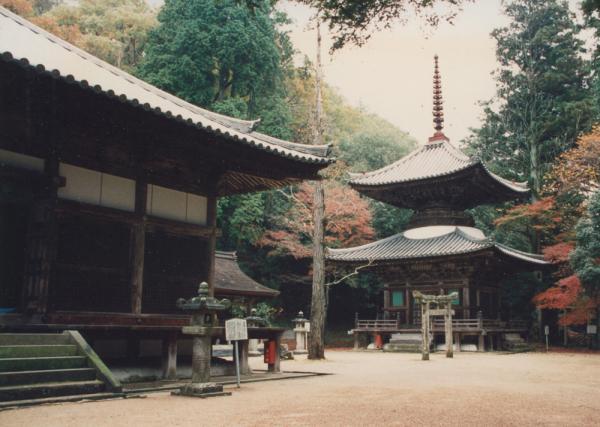 https://www.db.kansai-maas.jp/image/photos/266b0b5d-6343-4796-81ce-224ab19acbde.jpg