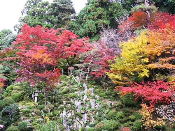 https://www.db.kansai-maas.jp/image/photos/26cc722d-f305-48da-a438-b6d1cb9effa8.jpg