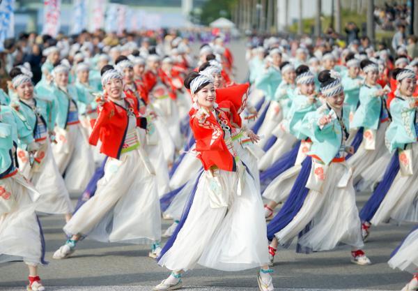 https://www.db.kansai-maas.jp/image/photos/27439985-ca51-420c-b629-d88b63b869b0.jpg
