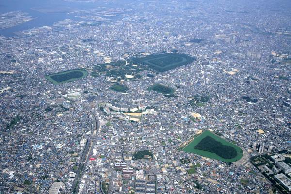 https://www.db.kansai-maas.jp/image/photos/27e2d558-1106-463e-b8cc-65dd3d217cd2.jpg