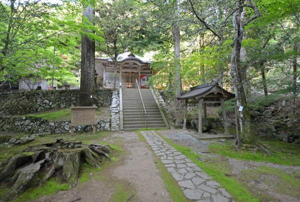 https://www.db.kansai-maas.jp/image/photos/284450f7-b486-4fac-8390-979c2d0349a1.jpg