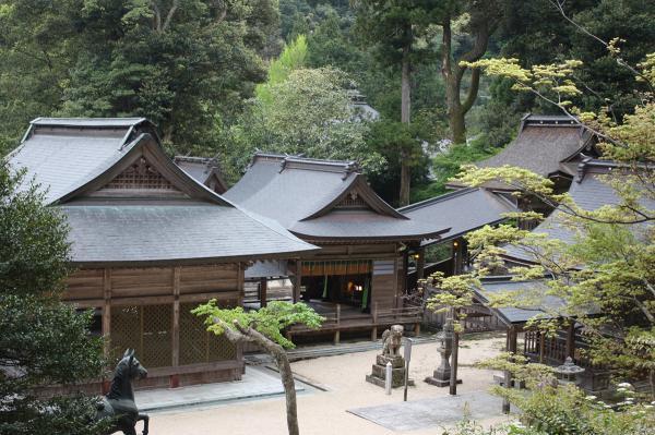 https://www.db.kansai-maas.jp/image/photos/29519701-4572-41cf-914b-c4be8390d116.jpg