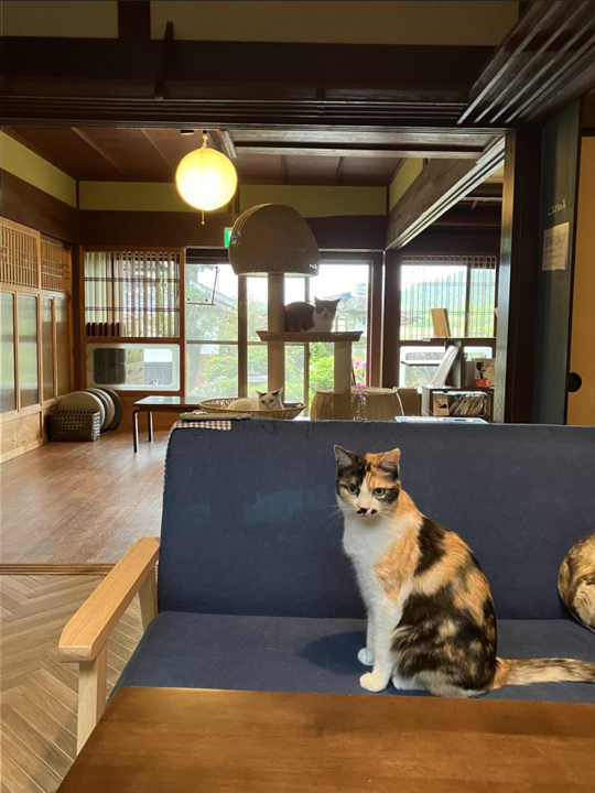 https://www.db.kansai-maas.jp/image/photos/296cd5dc-d600-4138-bb2d-525685bf2dd2.png