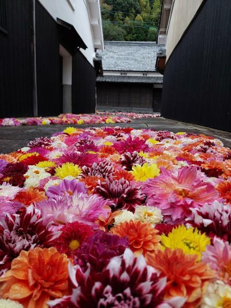 https://www.db.kansai-maas.jp/image/photos/29bf73b3-577c-473d-bbe2-5b583fe4de56.jpg