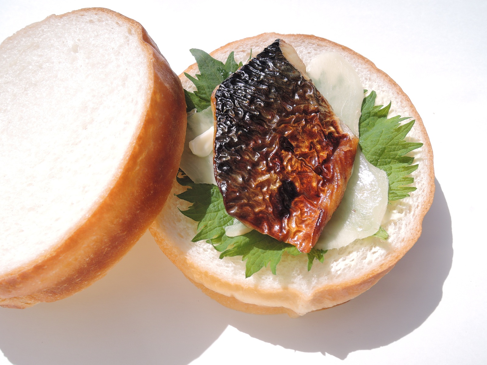https://www.db.kansai-maas.jp/image/photos/2a38d409-f057-4648-b5b8-883794744fd9.jpg
