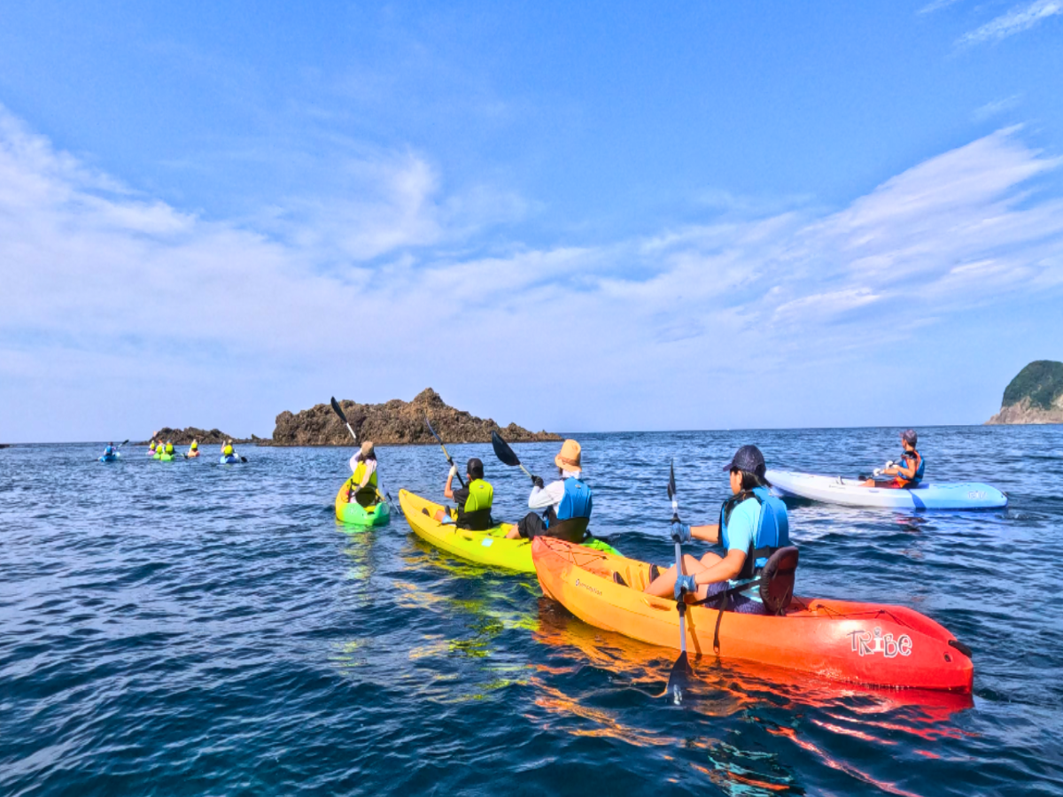 https://www.db.kansai-maas.jp/image/photos/2ad74d22-cb09-4a4a-83fa-729cc939526c.png