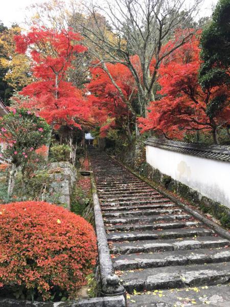 https://www.db.kansai-maas.jp/image/photos/2b463180-f630-4e2b-bb4c-1953b627411e.jpg