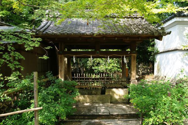 https://www.db.kansai-maas.jp/image/photos/2b76693d-c3aa-408c-8dde-c8a6e847de2a.jpg