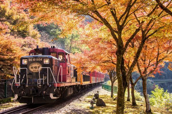 https://www.db.kansai-maas.jp/image/photos/2b9059ad-6503-4e28-b86b-043d13d96a1d.jpg