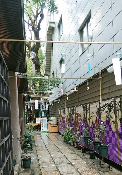 https://www.db.kansai-maas.jp/image/photos/2c738f49-4da4-443f-8589-d8b54f952985.jpg