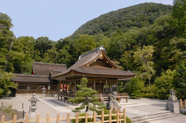 https://www.db.kansai-maas.jp/image/photos/2c90a072-2490-4f5f-a2c4-4d3e629bbd46.jpg
