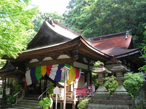 https://www.db.kansai-maas.jp/image/photos/2ca3f283-a34f-4793-81de-c0703c370254.jpg