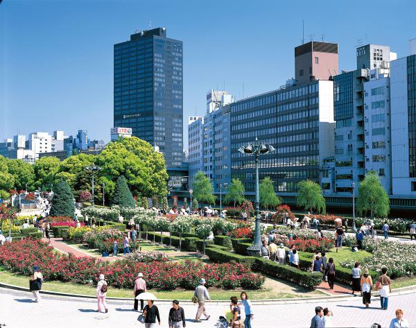 https://www.db.kansai-maas.jp/image/photos/2d03ad95-0036-41f7-b36e-261d9d09d512.jpg