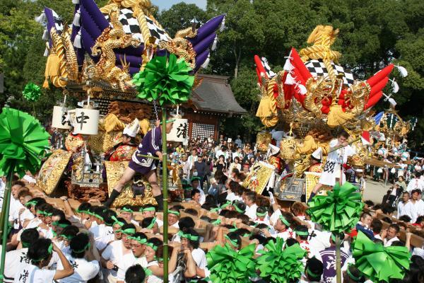 https://www.db.kansai-maas.jp/image/photos/2d32f724-4806-4418-946b-f770f466e5c3.jpg