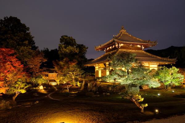 https://www.db.kansai-maas.jp/image/photos/2d5ef386-fd85-40b3-8eef-93411f3b506c.jpg