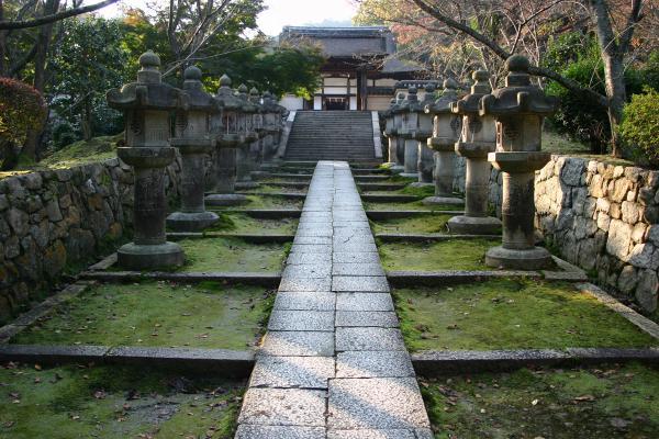 https://www.db.kansai-maas.jp/image/photos/2dc5f0f6-60b4-470d-9fd2-097b594571fb.jpg