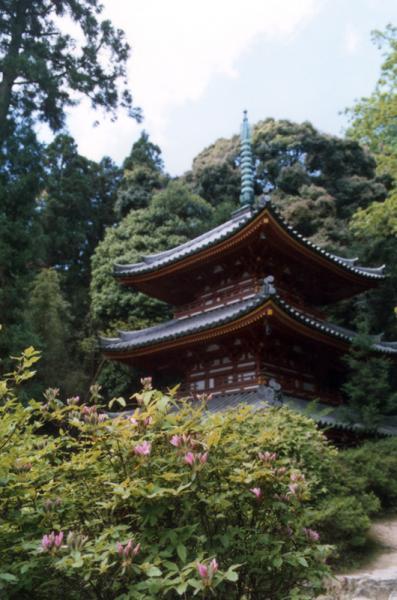 https://www.db.kansai-maas.jp/image/photos/2e4fd0e1-26be-4a98-bb0d-075abaa86deb.jpg