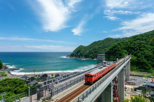 https://www.db.kansai-maas.jp/image/photos/2ee566cf-11fb-466a-a14c-bf8fea9d4fb8.jpg
