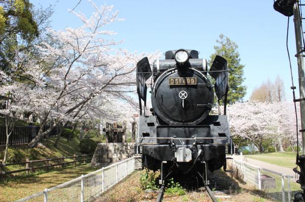 https://www.db.kansai-maas.jp/image/photos/2f531a35-4ed3-4a71-bf9d-b8568e46f528.jpg