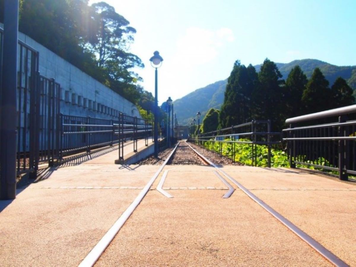 https://www.db.kansai-maas.jp/image/photos/305d4a91-d57c-4948-a2d9-e513e01e4019.jpg
