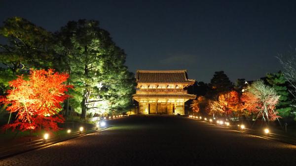https://www.db.kansai-maas.jp/image/photos/308fb196-be10-46af-a30a-7b08a4c3c81e.jpg