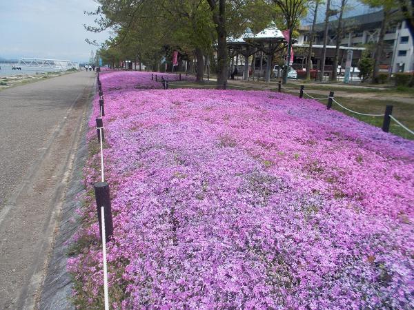https://www.db.kansai-maas.jp/image/photos/309bbf8c-edee-4bb7-82f3-3f96fbf23a7c.jpg