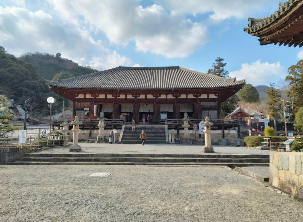 https://www.db.kansai-maas.jp/image/photos/30f40579-839d-4559-b850-53d034ba4029.jpg