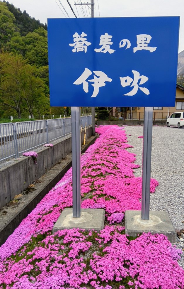 https://www.db.kansai-maas.jp/image/photos/31082fec-18b0-4156-9ce3-8824652a618c.png