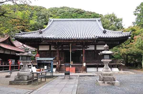 https://www.db.kansai-maas.jp/image/photos/3170c87a-e756-4b34-9e67-e080fb060176.jpg