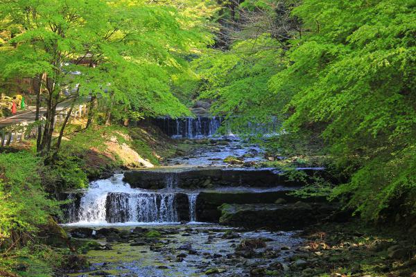 https://www.db.kansai-maas.jp/image/photos/31aa17ca-2a78-49cb-b7eb-96b1f061553d.jpg