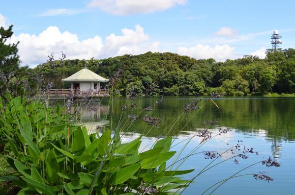 https://www.db.kansai-maas.jp/image/photos/3273da47-c42a-49be-92d7-b7fa605bee61.jpg