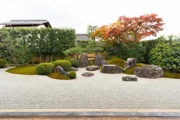 https://www.db.kansai-maas.jp/image/photos/328817b8-09bd-4d2f-8f4d-7c9bcd310e60.jpg