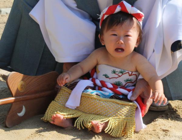 https://www.db.kansai-maas.jp/image/photos/32d18ca9-c88e-4080-a2a0-17c52b136d2b.jpg