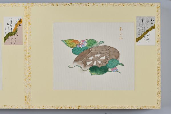 https://www.db.kansai-maas.jp/image/photos/3340b82e-690c-49e3-9c7d-1014d348dfc3.jpg