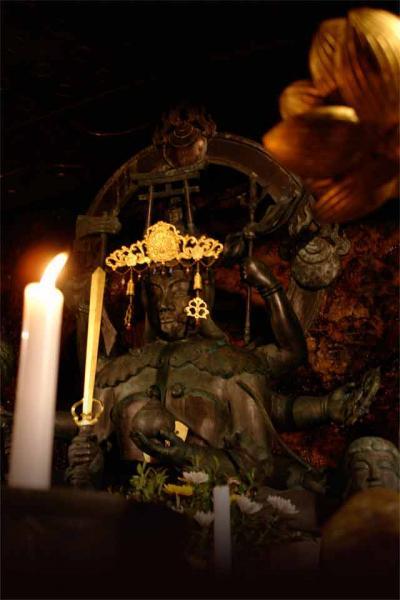 https://www.db.kansai-maas.jp/image/photos/36e037b8-7003-4707-9384-fc63578aefb6.jpg