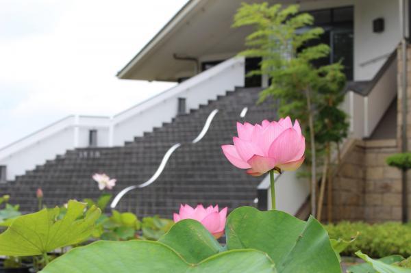 https://www.db.kansai-maas.jp/image/photos/370c39b9-bb9b-4709-bdb2-d340bf1971bf.jpg