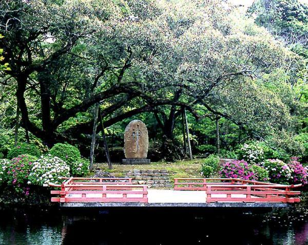 https://www.db.kansai-maas.jp/image/photos/37108428-5372-4bcb-8ab7-193e66e2635f.jpg